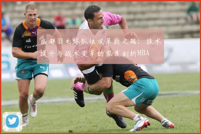 成都羽毛球队快攻革新之路：技术提升与战术变革的深度剖析MBA