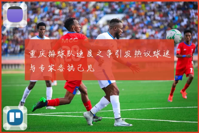 重庆排球队速度之争引发热议球迷与专家各执己见