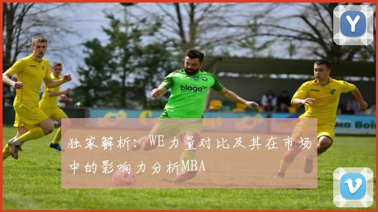 独家解析：WE力量对比及其在市场中的影响力分析MBA