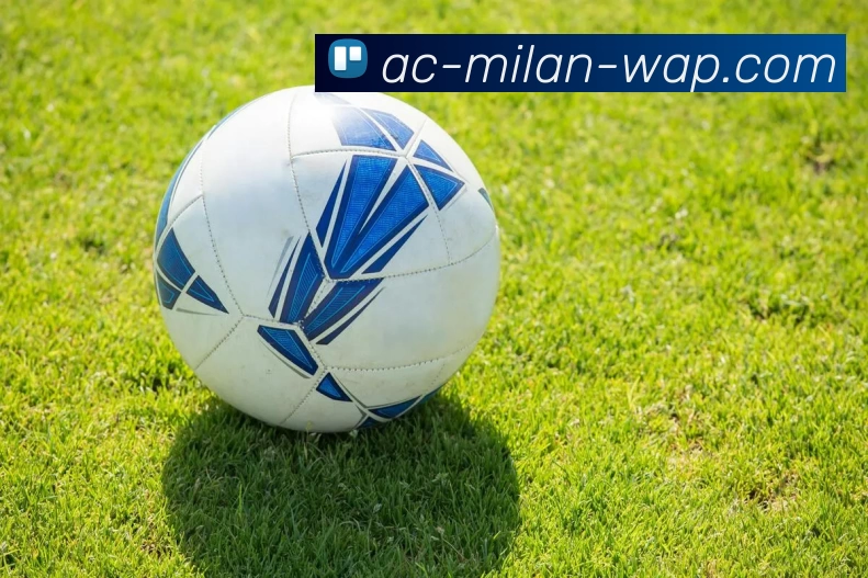 米兰平台平台生态图