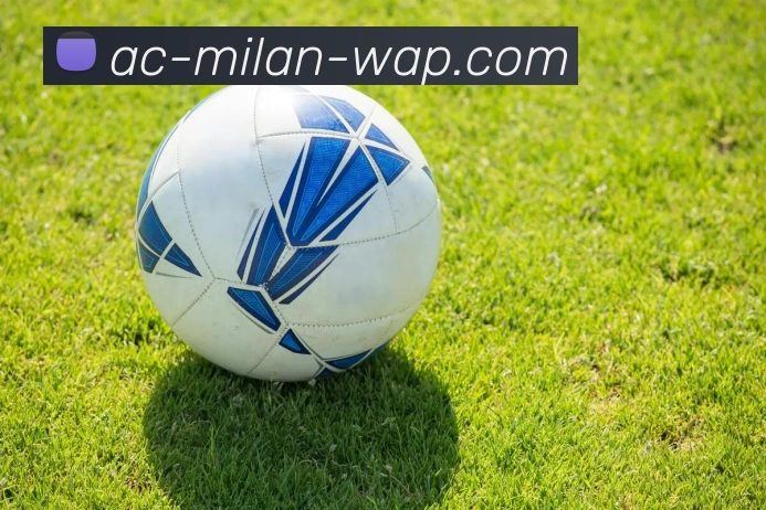 米兰平台APP 封面图